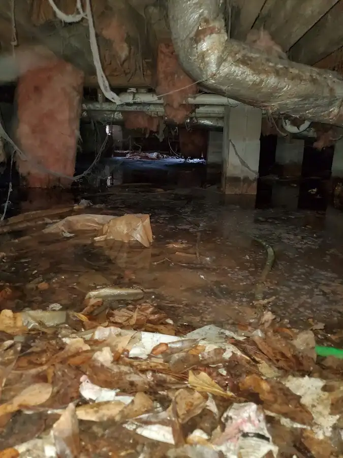 Crawl space flood assessment for Leak Detection & Repair in Greendale